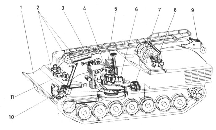 organi.jpg (54984 byte)